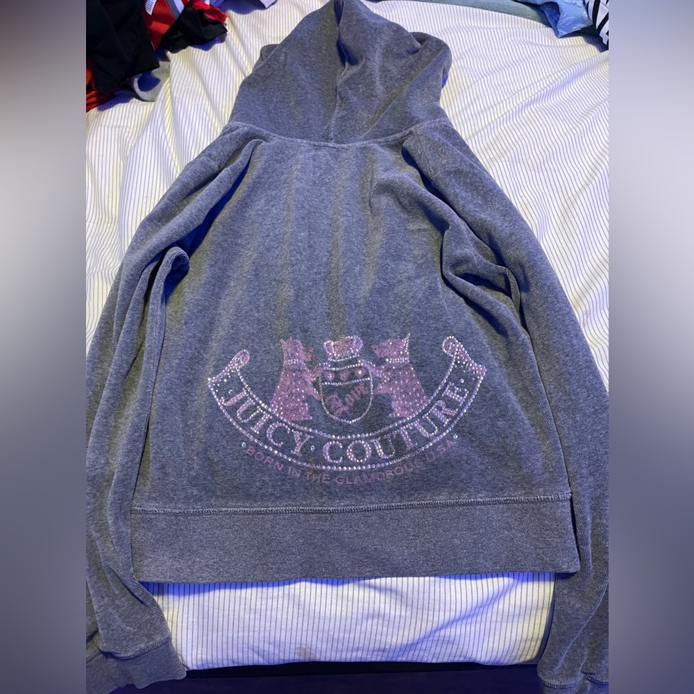 Juicy Couture Cropped Hoodie
